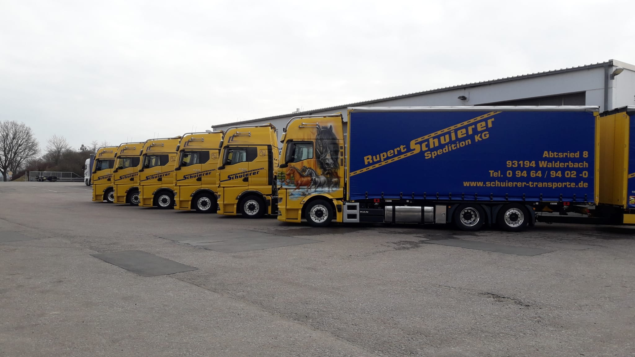 6 LKWs der Spedition Schuierer